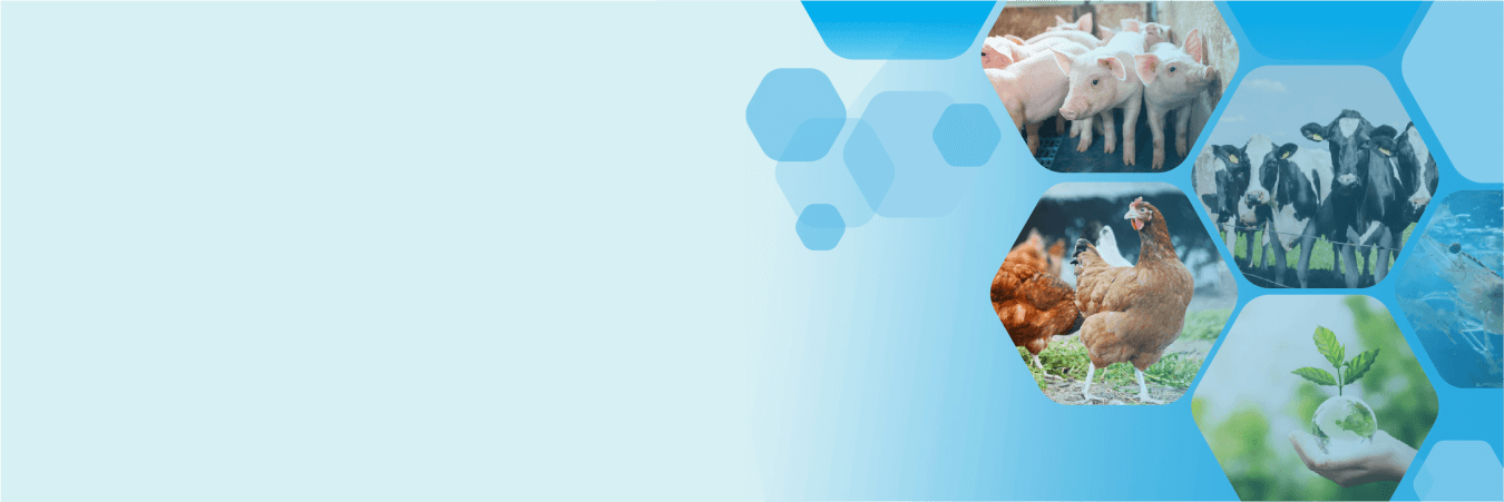 Công ty cổ phần TECHPAL